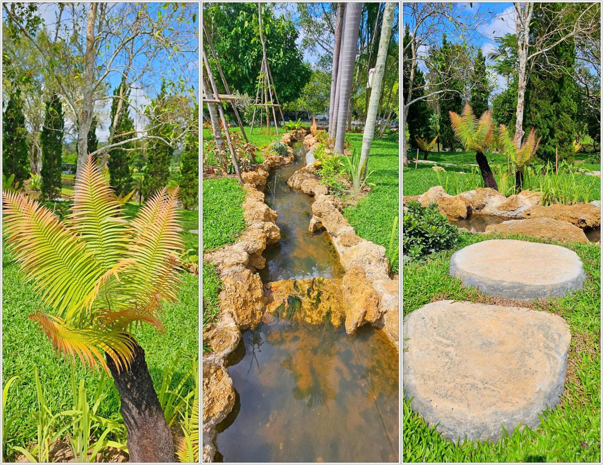 Homdoiintr Farmstay ฮ่อมดอยอินทร์ ฟาร์มสเตย์ Ban Huai Kaeo Bagian luar foto