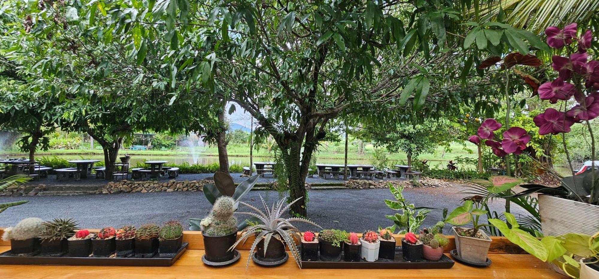 Homdoiintr Farmstay ฮ่อมดอยอินทร์ ฟาร์มสเตย์ Ban Huai Kaeo Bagian luar foto