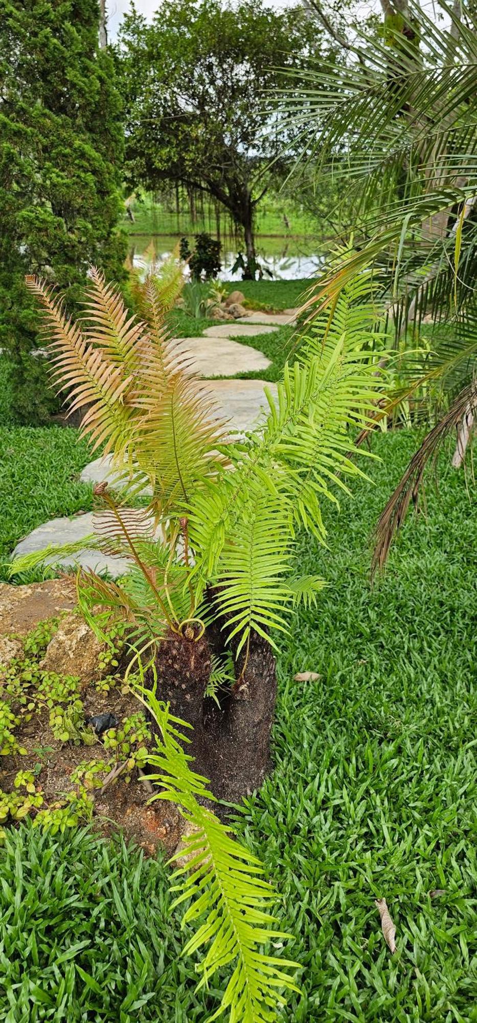 Homdoiintr Farmstay ฮ่อมดอยอินทร์ ฟาร์มสเตย์ Ban Huai Kaeo Bagian luar foto