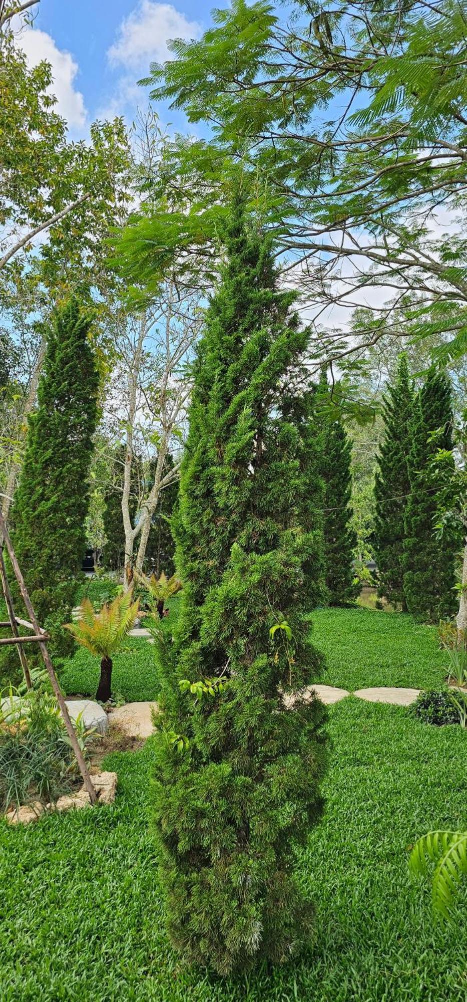 Homdoiintr Farmstay ฮ่อมดอยอินทร์ ฟาร์มสเตย์ Ban Huai Kaeo Bagian luar foto