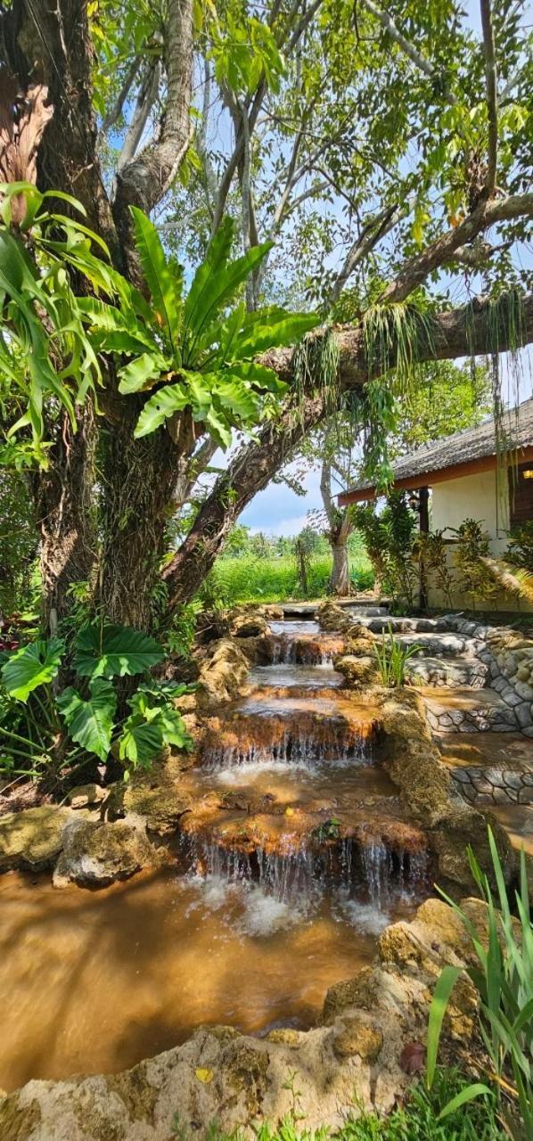 Homdoiintr Farmstay ฮ่อมดอยอินทร์ ฟาร์มสเตย์ Ban Huai Kaeo Bagian luar foto