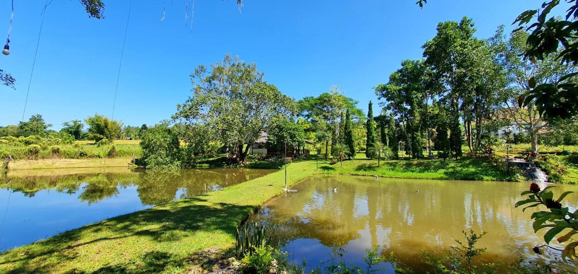 Homdoiintr Farmstay ฮ่อมดอยอินทร์ ฟาร์มสเตย์ Ban Huai Kaeo Bagian luar foto
